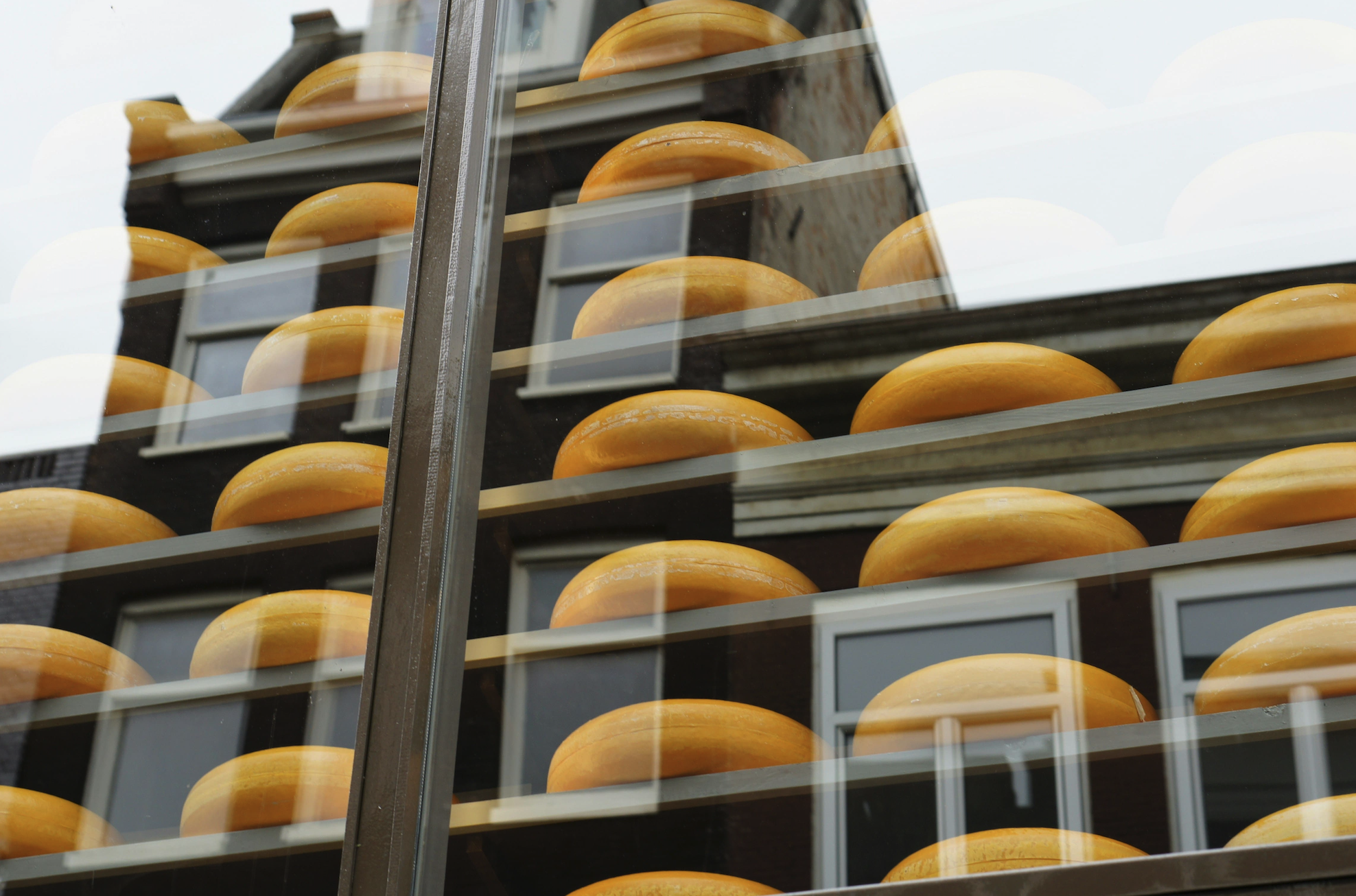 cheesemaker gouda cheese wheels